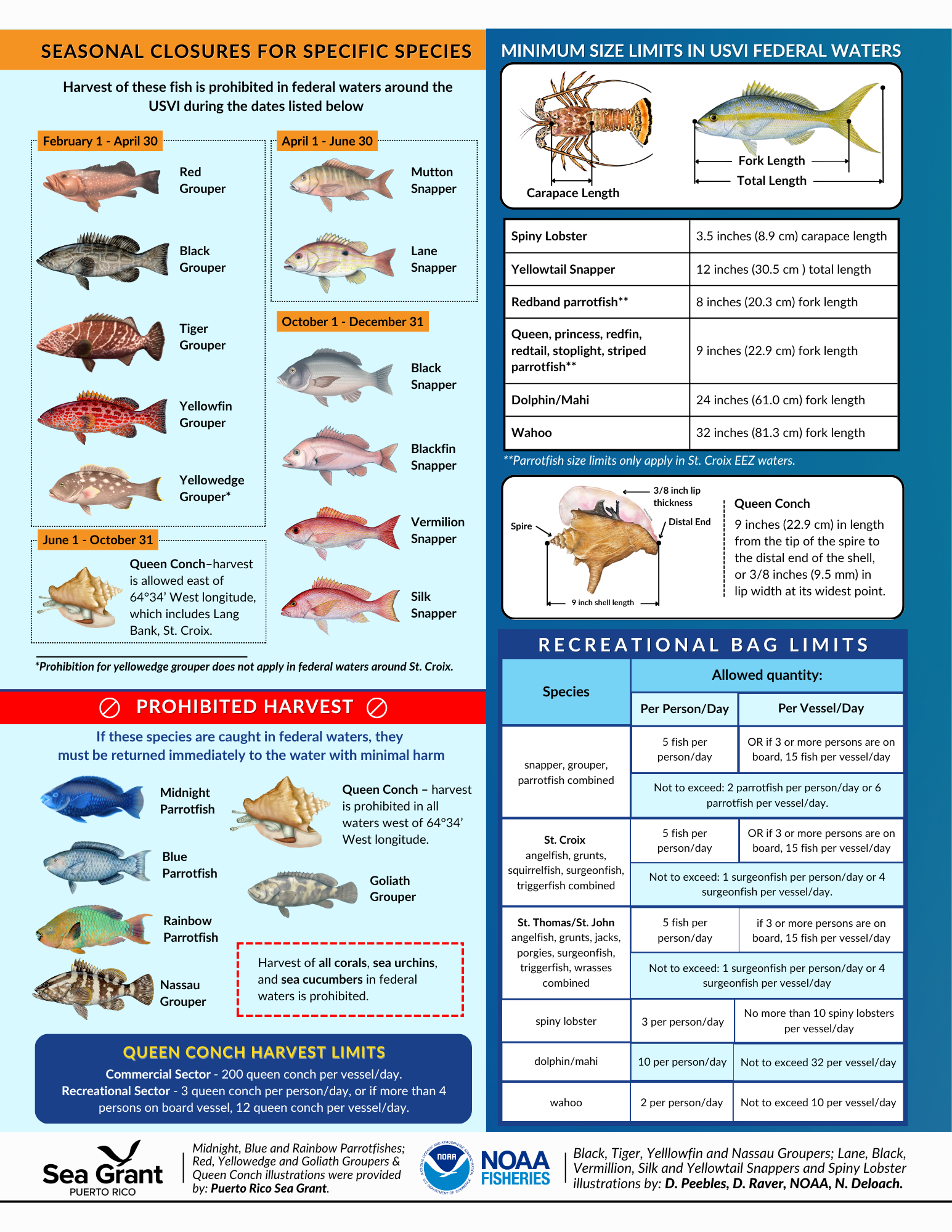 Summary of Commercial and Recreational Regulations in Federal Waters U.S. Virgin Islands